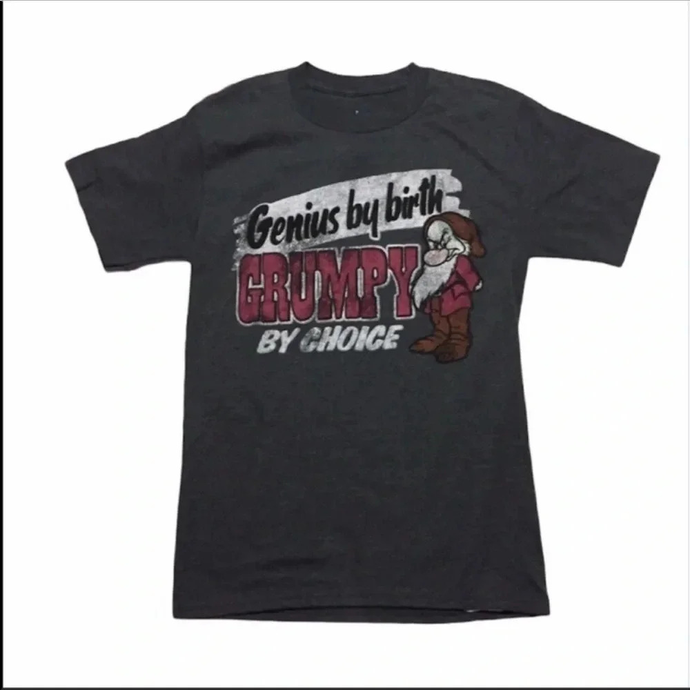 Disneyland Resort Tee Grumpy 7 Dwarfs Size Small